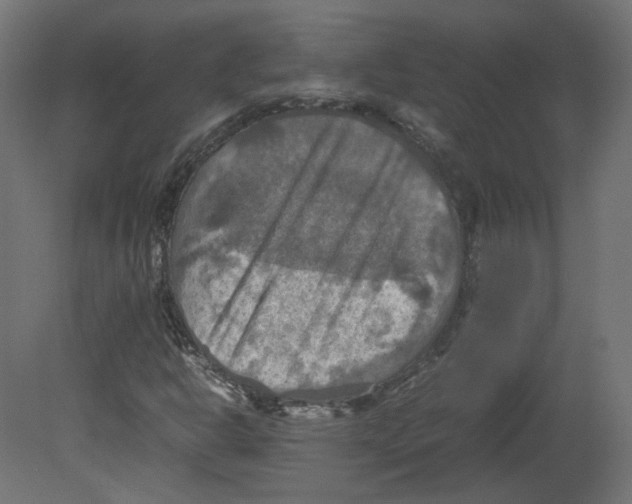 X0000080661302200701121556