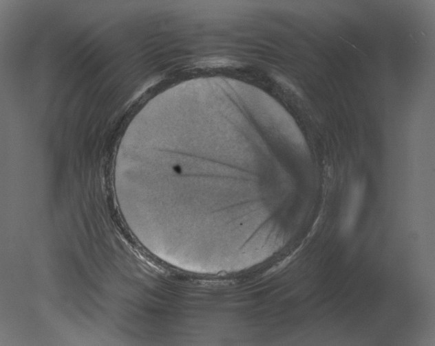 X0000080661305200701121556