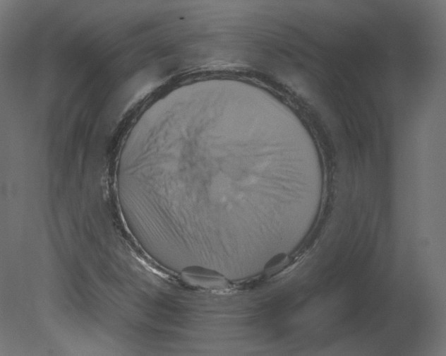 X0000080661306200701121556