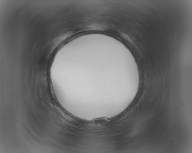 X0000080661307200701121556