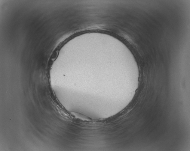 X0000080661308200701121556