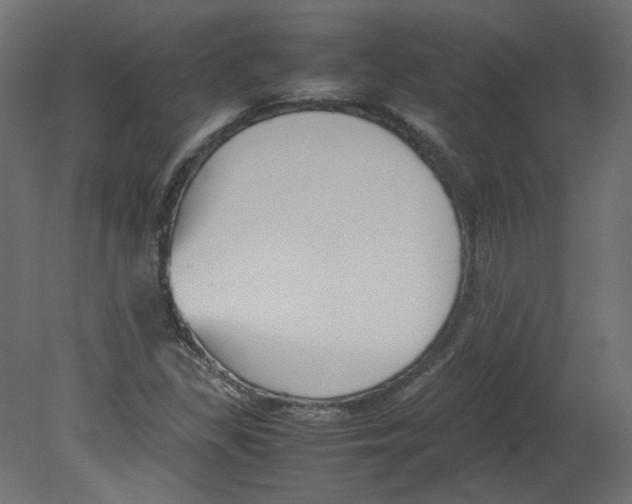 X0000080661309200701121556