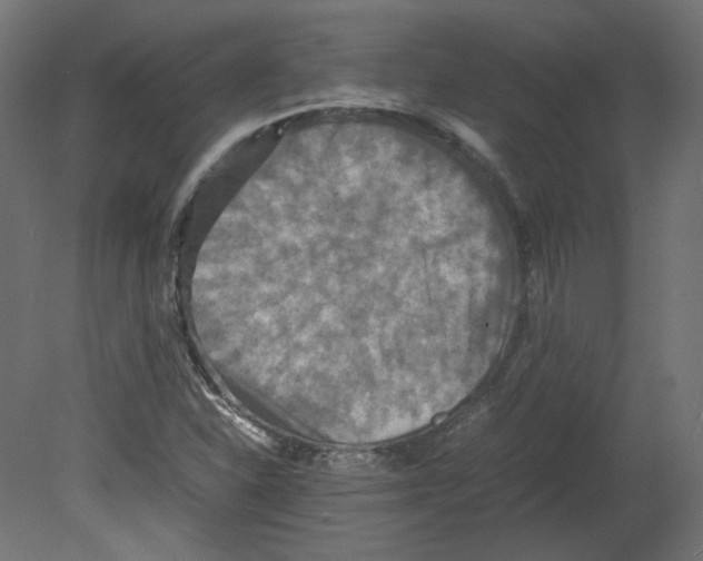 X0000080661310200701121556