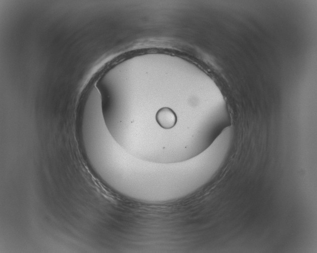 X0000080661312200701121556