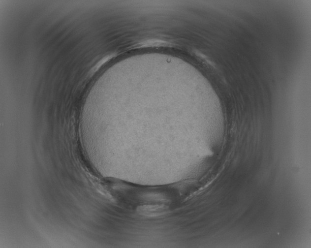 X0000080661313200701121556