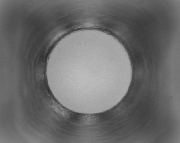 X0000080661314200701121556