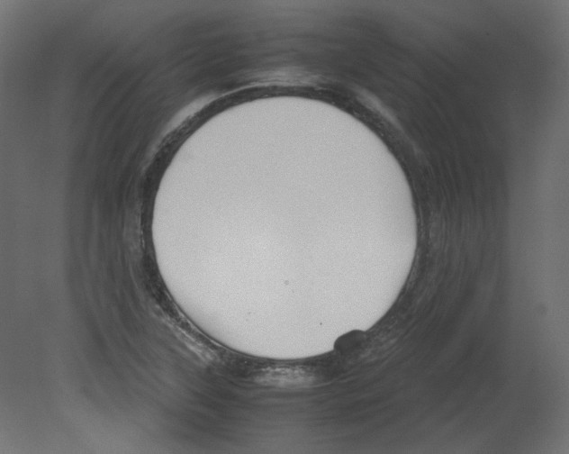 X0000080661315200701121556