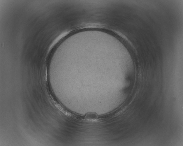 X0000080661317200701121556