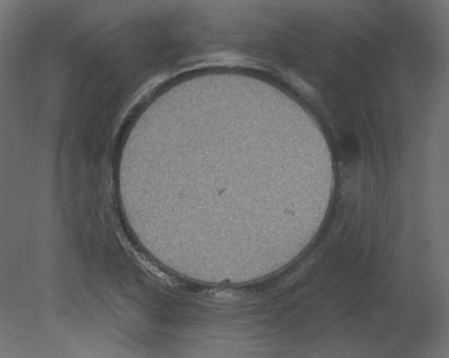 X0000080661318200701121556