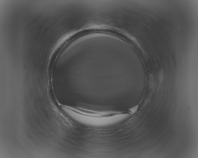 X0000080661319200701121556