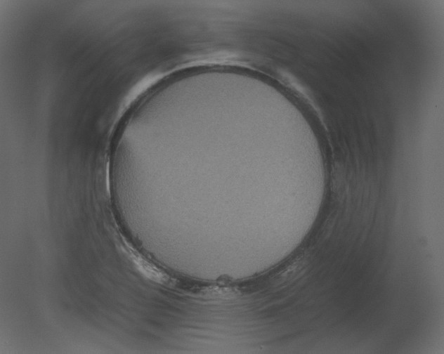 X0000080661320200701121556