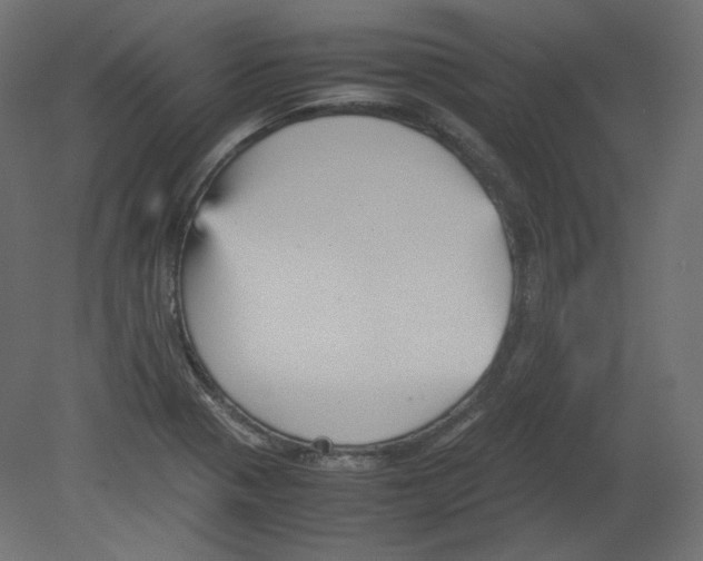 X0000080661321200701121556