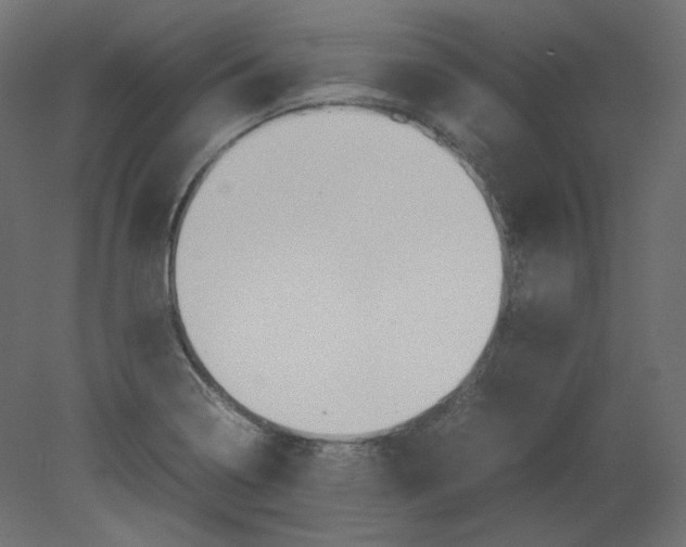 X0000080661322200701121556