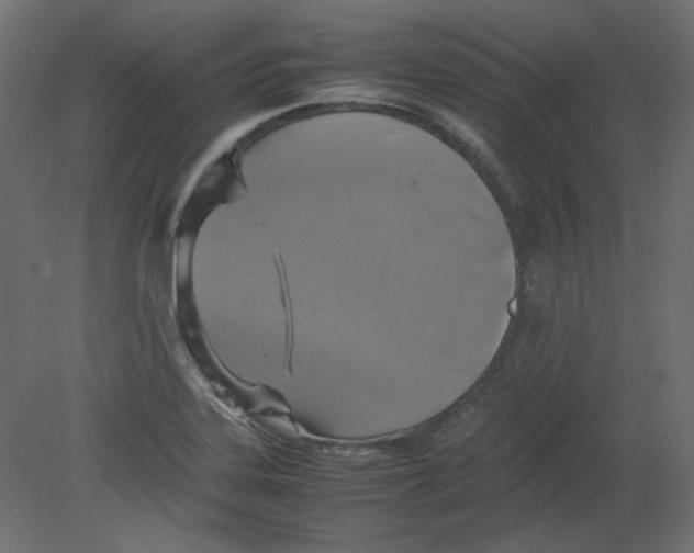 X0000080661323200701121556