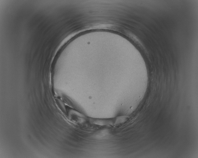 X0000080661324200701121556