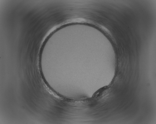 X0000080661326200701121556