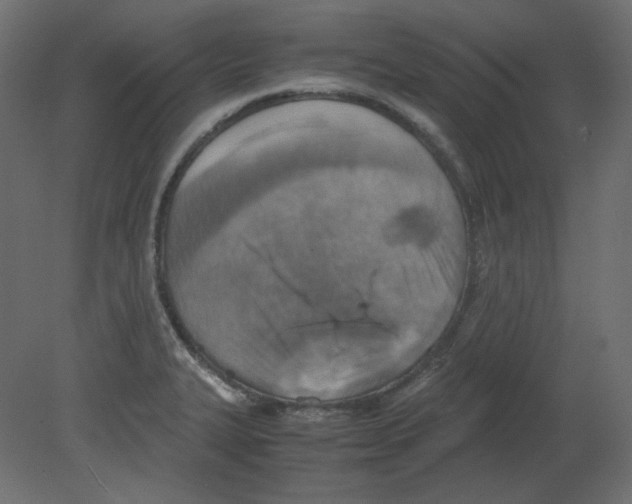 X0000080661327200701121556