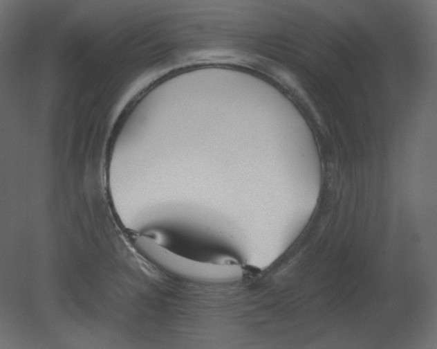 X0000080661328200701121556