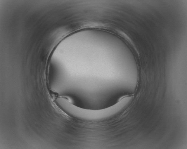 X0000080661330200701121556