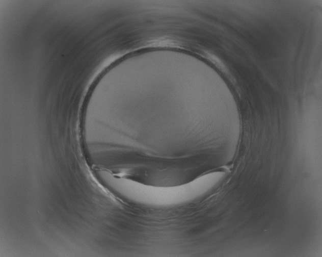 X0000080661331200701121556