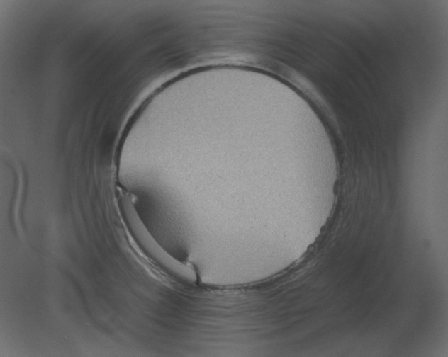 X0000080661332200701121556