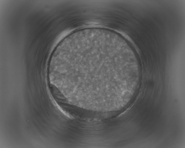 X0000080661333200701121556