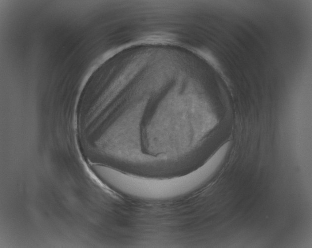 X0000080661335200701121556