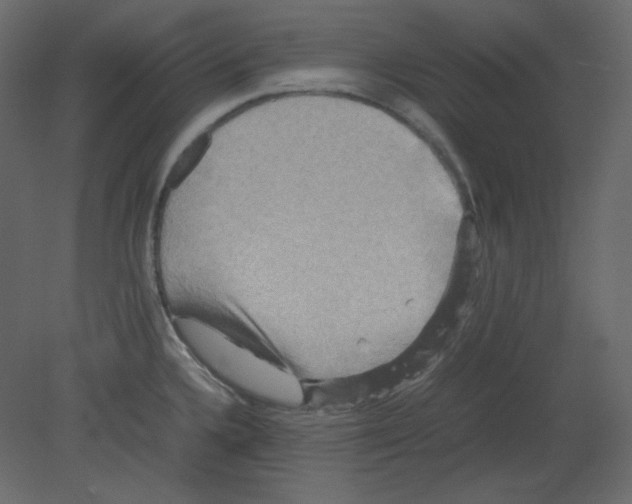 X0000080661336200701121556