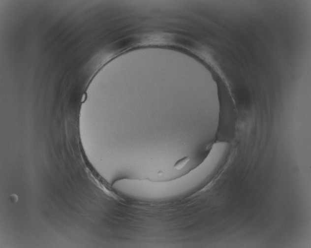 X0000080661337200701121556