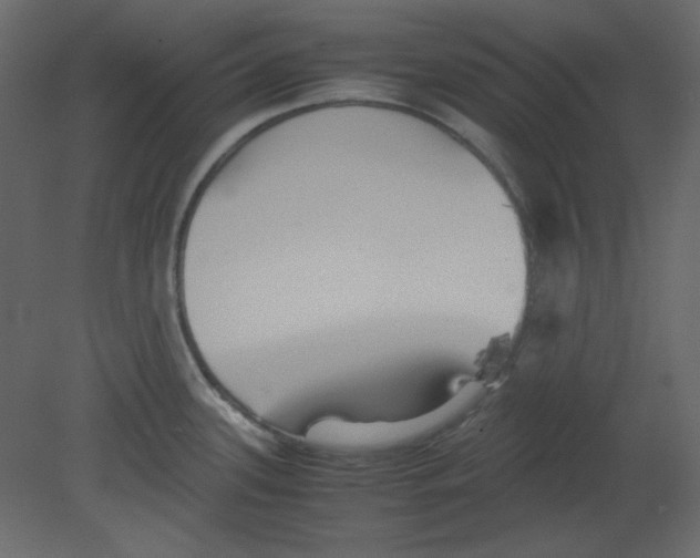 X0000080661339200701121556