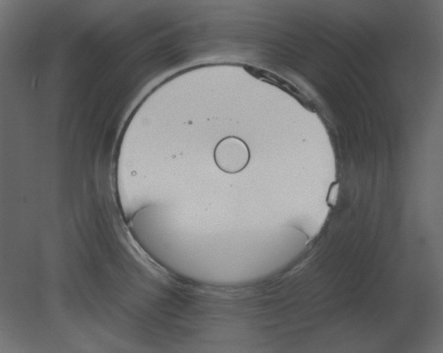 X0000080661340200701121556