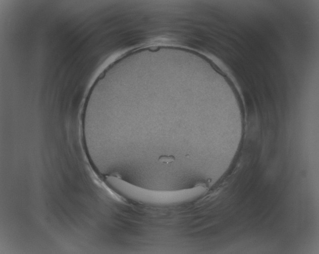 X0000080661341200701121556