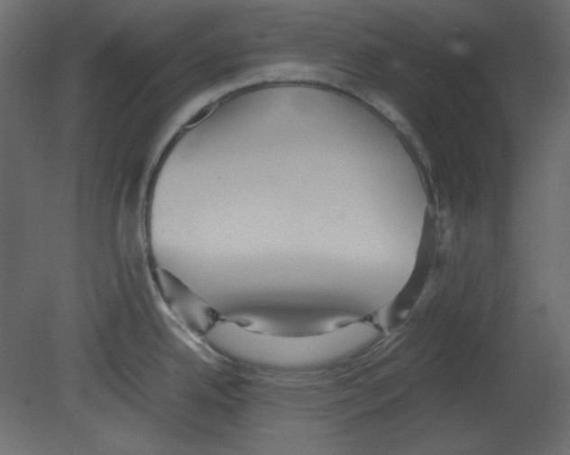 X0000080661342200701121556