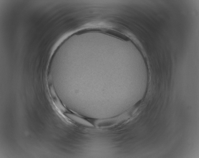 X0000080661344200701121556