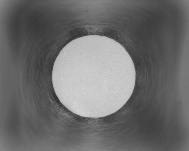 X0000080661345200701121556