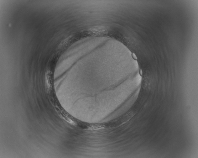 X0000080661346200701121556