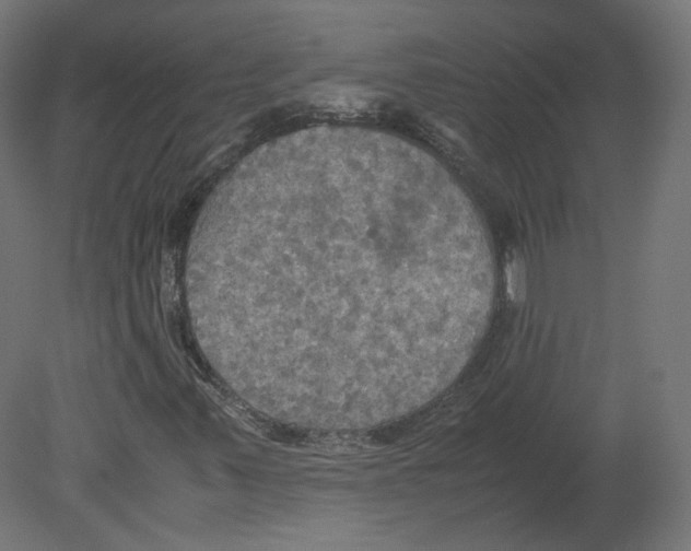 X0000080661347200701121556