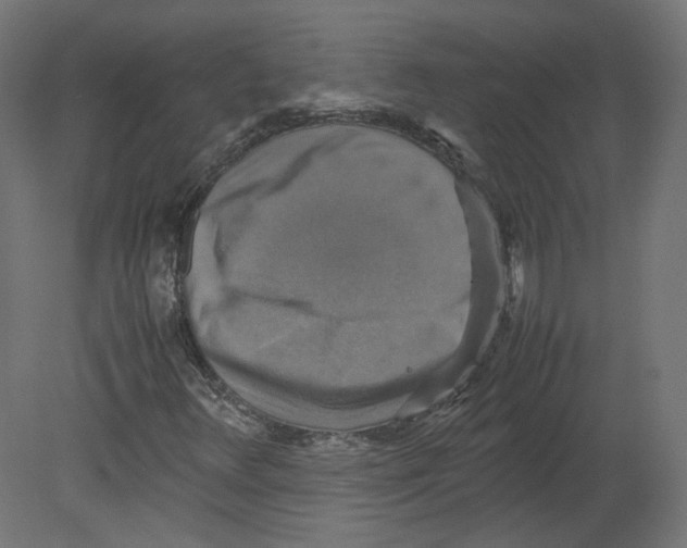 X0000080661348200701121556