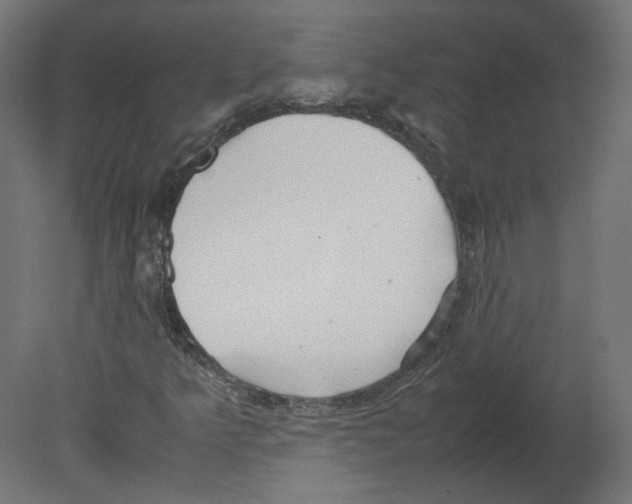 X0000080661349200701121555