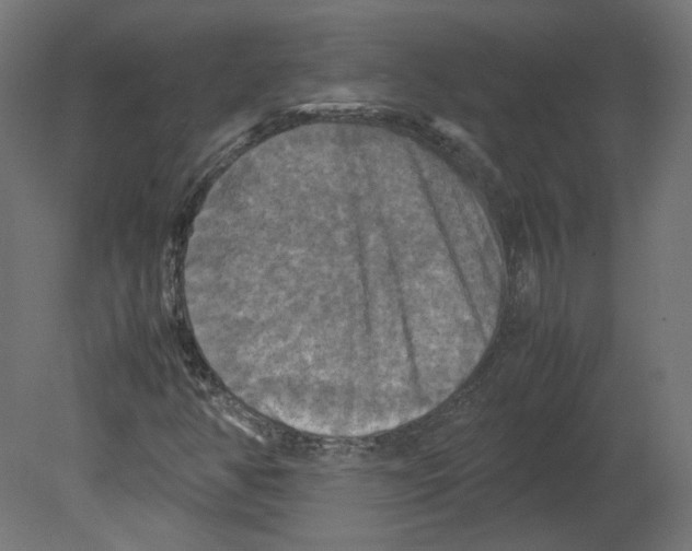 X0000080661350200701121555