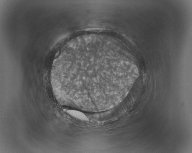 X0000080661351200701121555