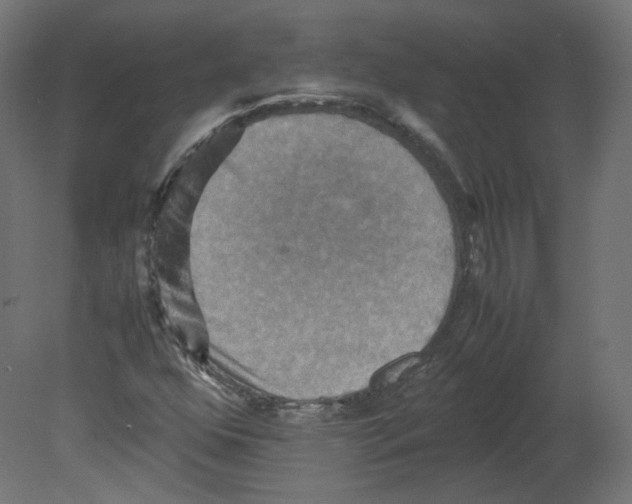 X0000080661352200701121555