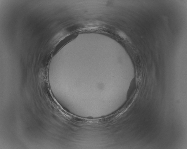 X0000080661353200701121555