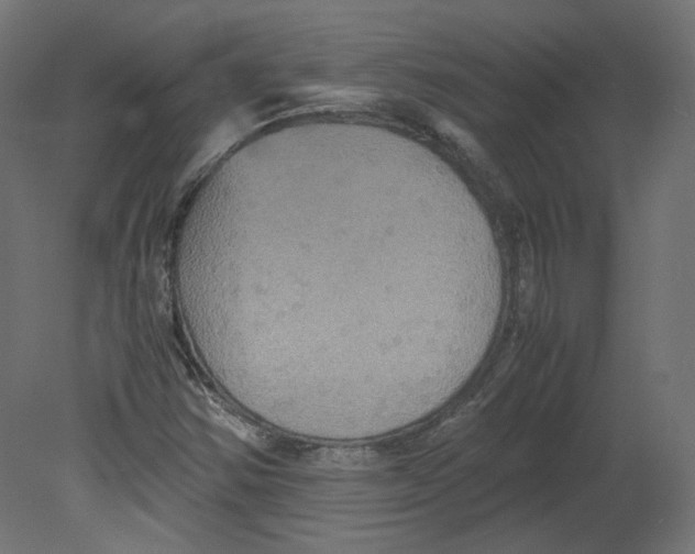 X0000080661354200701121555