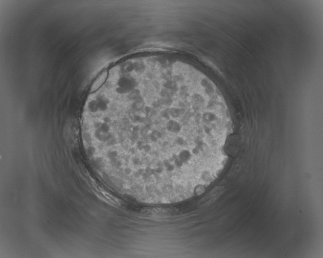 X0000080661355200701121555