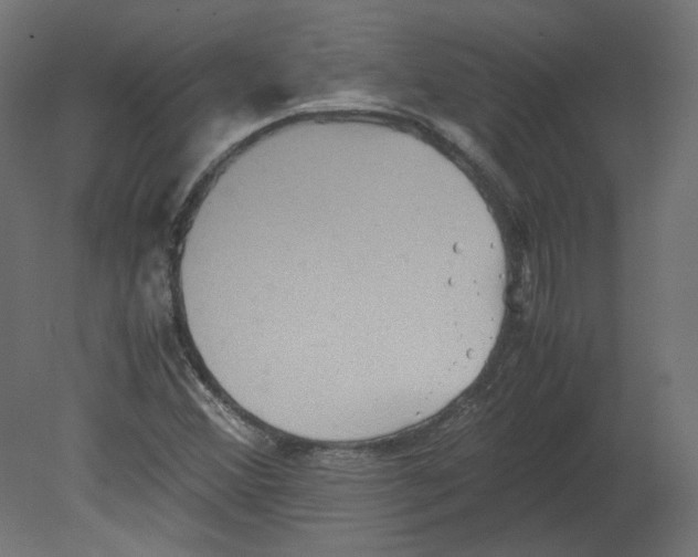 X0000080661356200701121555