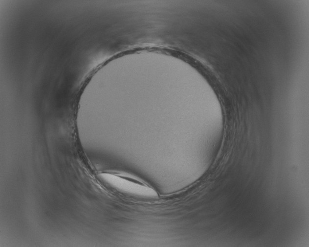 X0000080661359200701121555