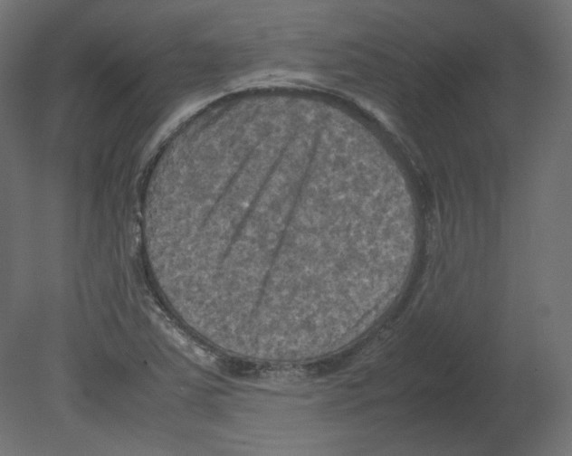 X0000080661363200701121555