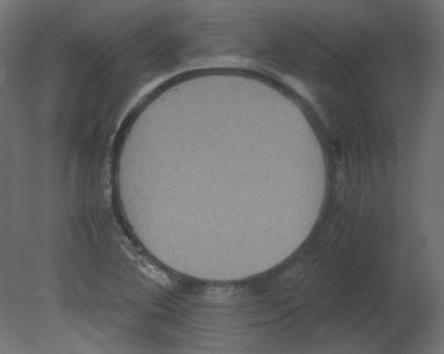 X0000080661364200701121555