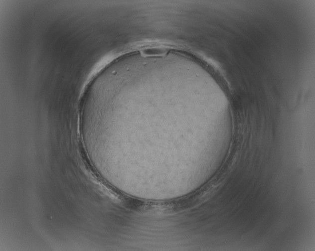 X0000080661365200701121555